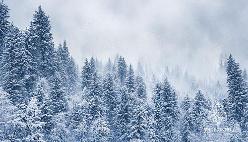 Фото пресс-службы ГУ МЧС России по Хакасии